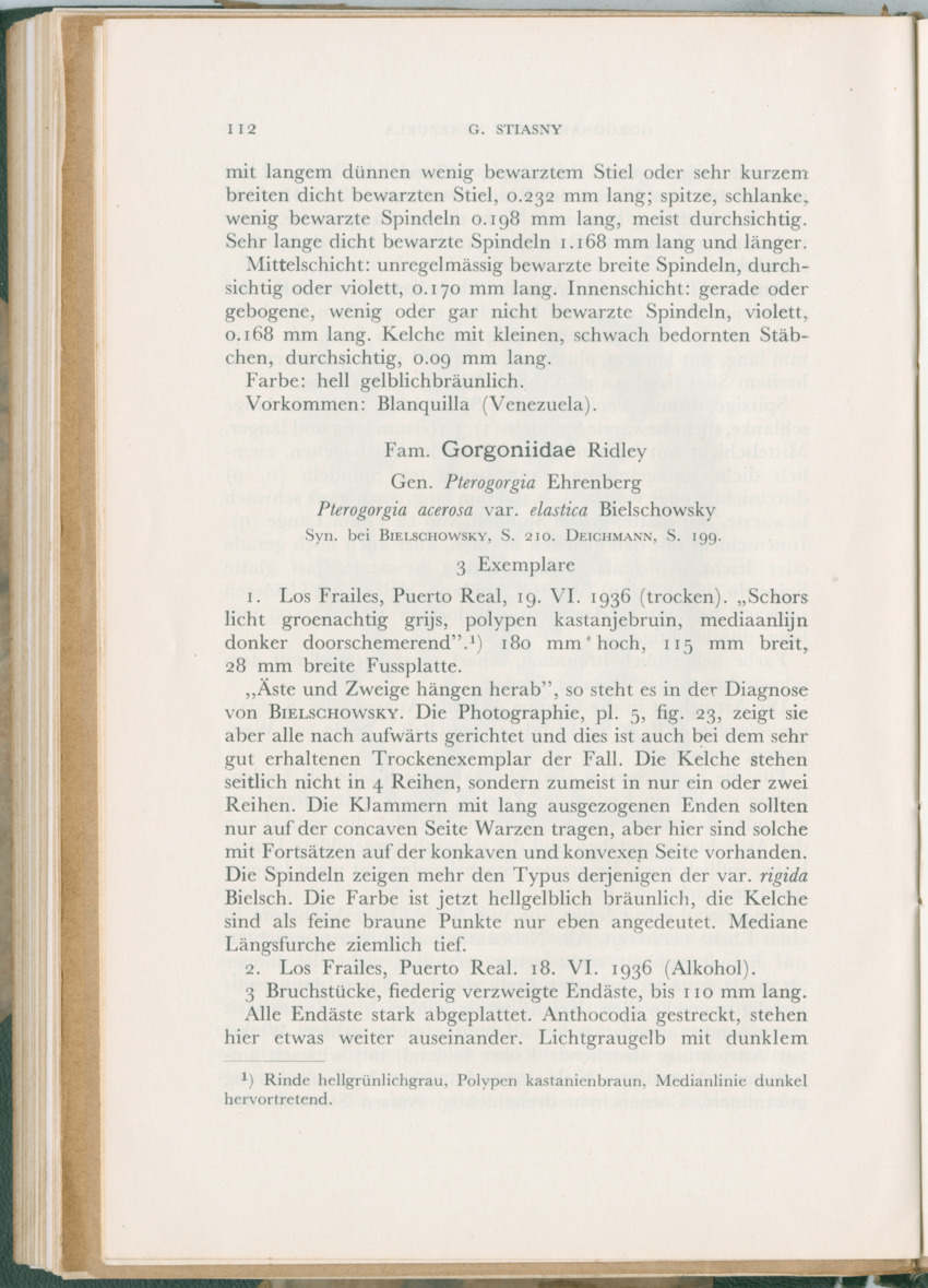 Zoologische Ergebnisse einer Reise nach Bonaire, Curacao und  Aruba im Jahre 1930 - 3. Teil - New Page