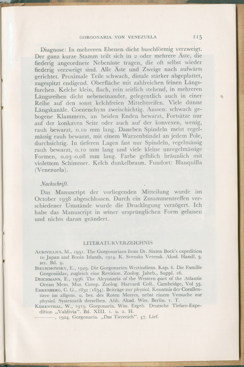 Zoologische Ergebnisse einer Reise nach Bonaire, Curacao und  Aruba im Jahre 1930 - 3. Teil - New Page