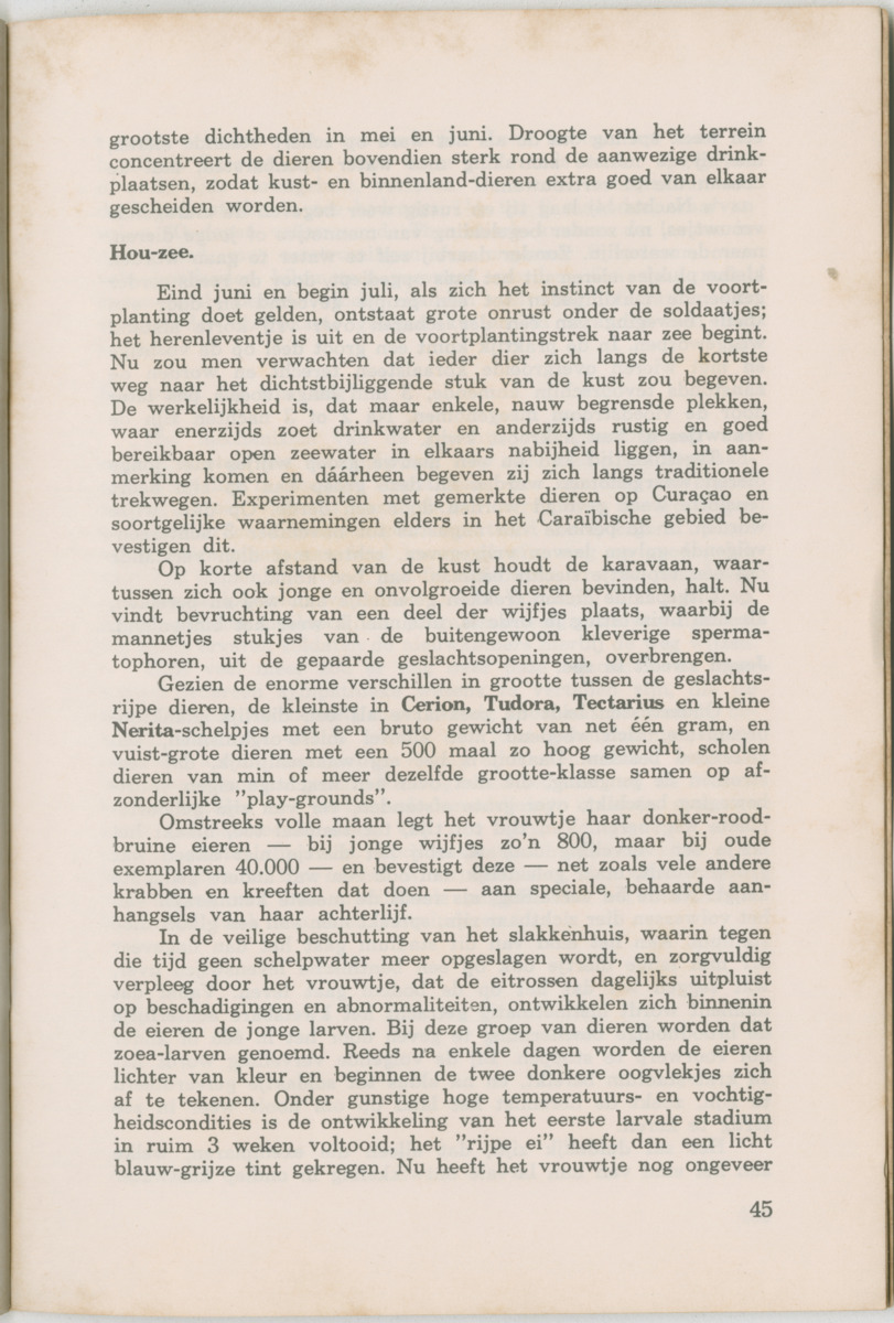 Uitgaven Stinapa - No. 6 - februari 1972 - New Page