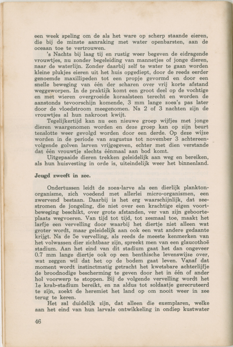 Uitgaven Stinapa - No. 6 - februari 1972 - New Page