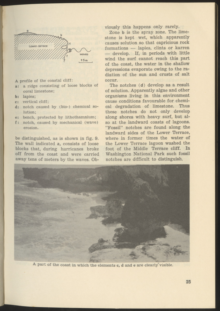 Uitgaven Stinapa - No. 9 - Field Guide National Park Washington - New Page