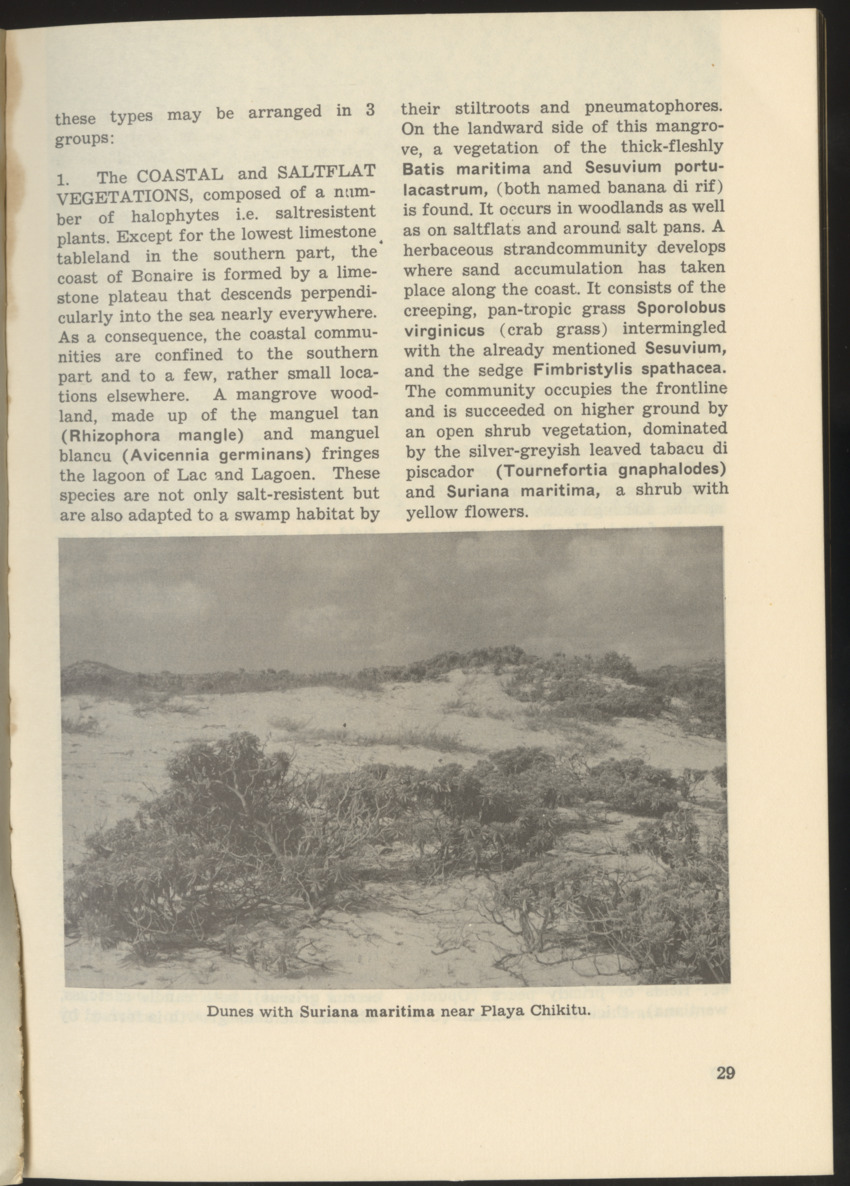 Uitgaven Stinapa - No. 9 - Field Guide National Park Washington - New Page