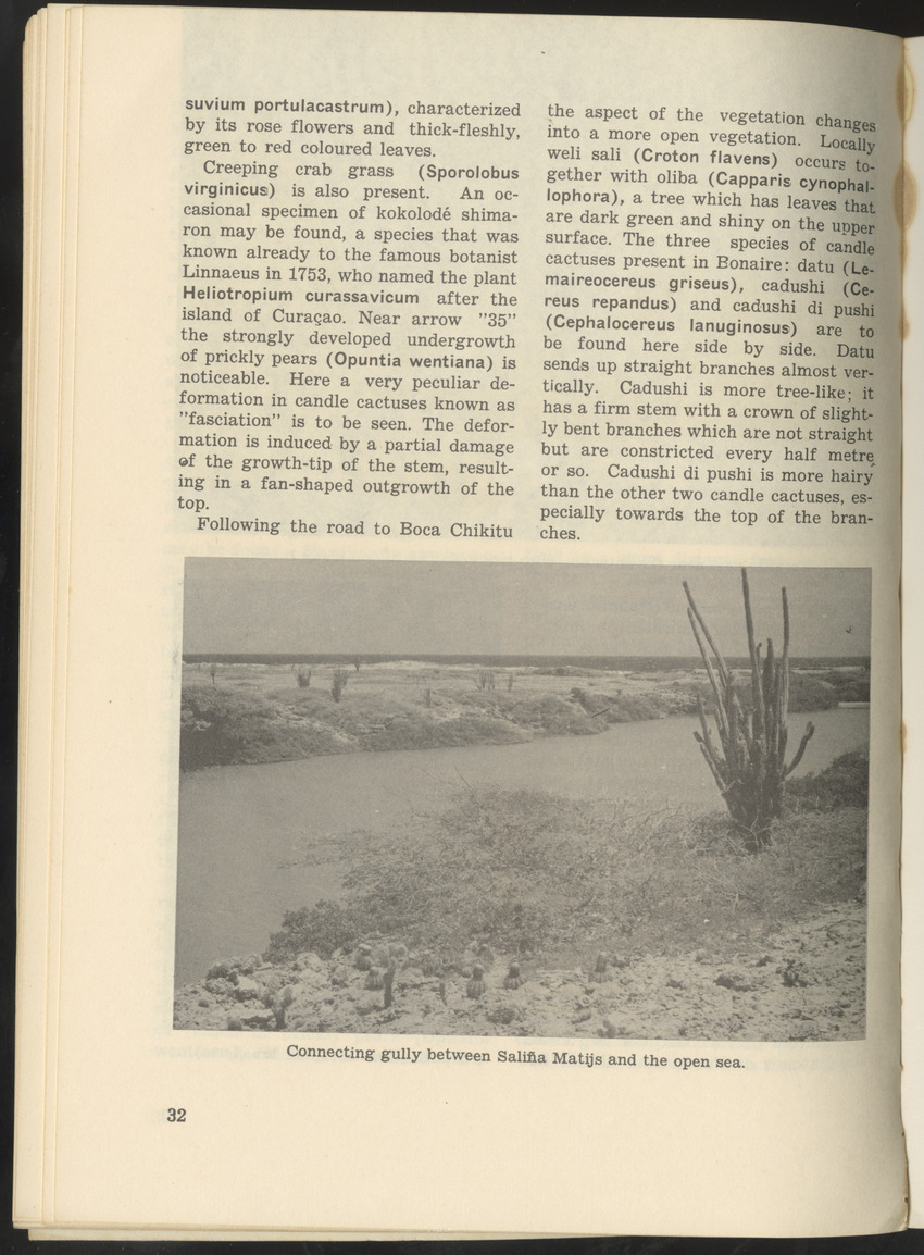 Uitgaven Stinapa - No. 9 - Field Guide National Park Washington - New Page