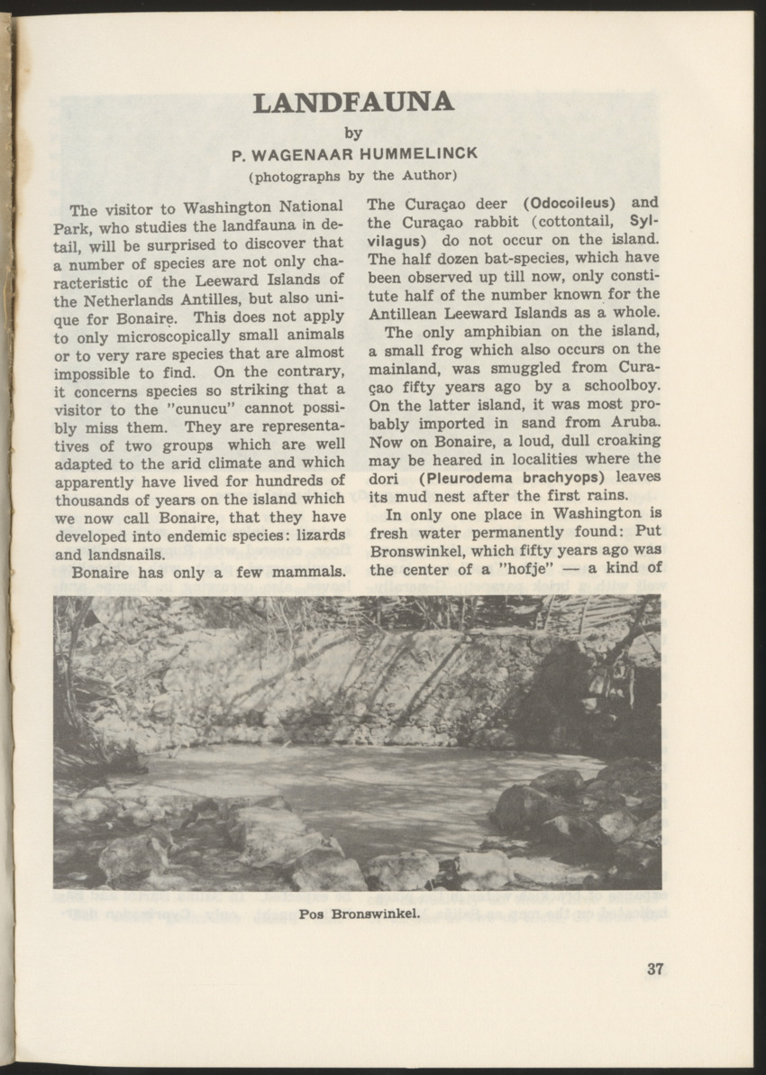 Uitgaven Stinapa - No. 9 - Field Guide National Park Washington - New Page