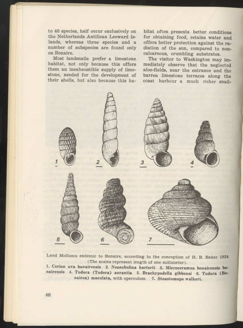 Uitgaven Stinapa - No. 9 - Field Guide National Park Washington - New Page