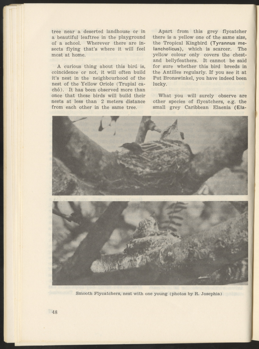 Uitgaven Stinapa - No. 9 - Field Guide National Park Washington - New Page