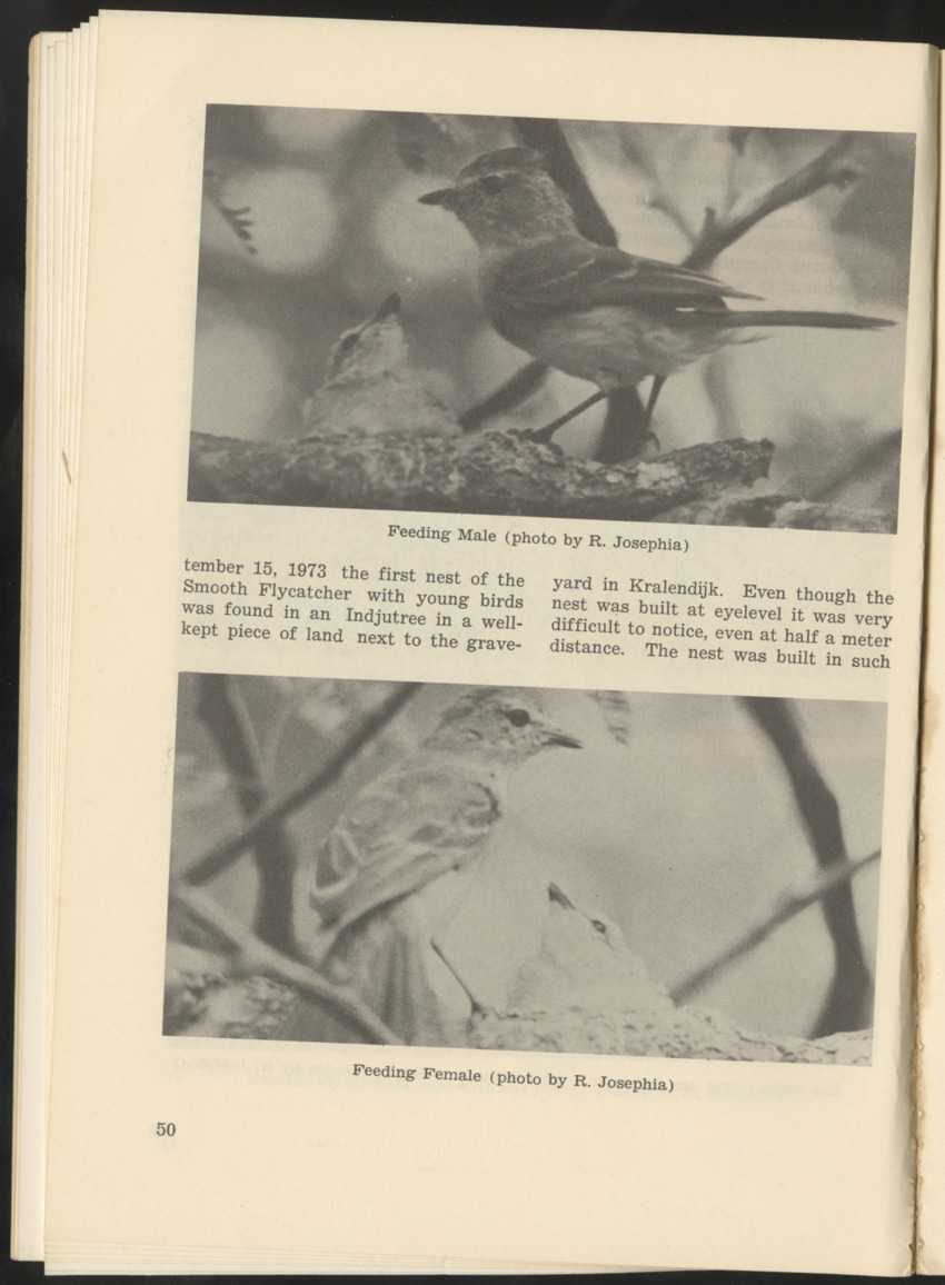 Uitgaven Stinapa - No. 9 - Field Guide National Park Washington - New Page