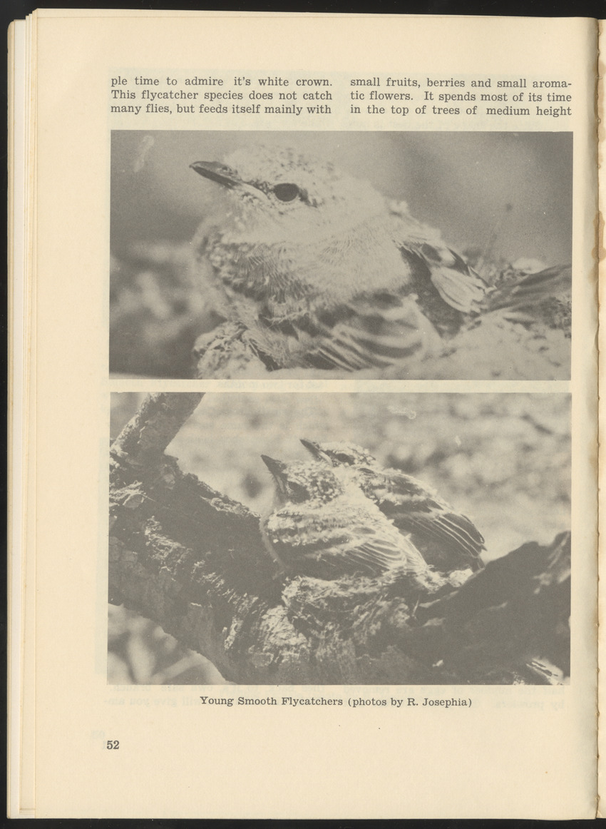 Uitgaven Stinapa - No. 9 - Field Guide National Park Washington - New Page
