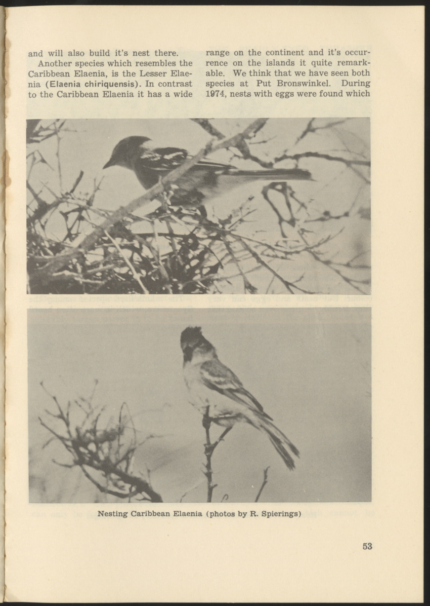 Uitgaven Stinapa - No. 9 - Field Guide National Park Washington - New Page