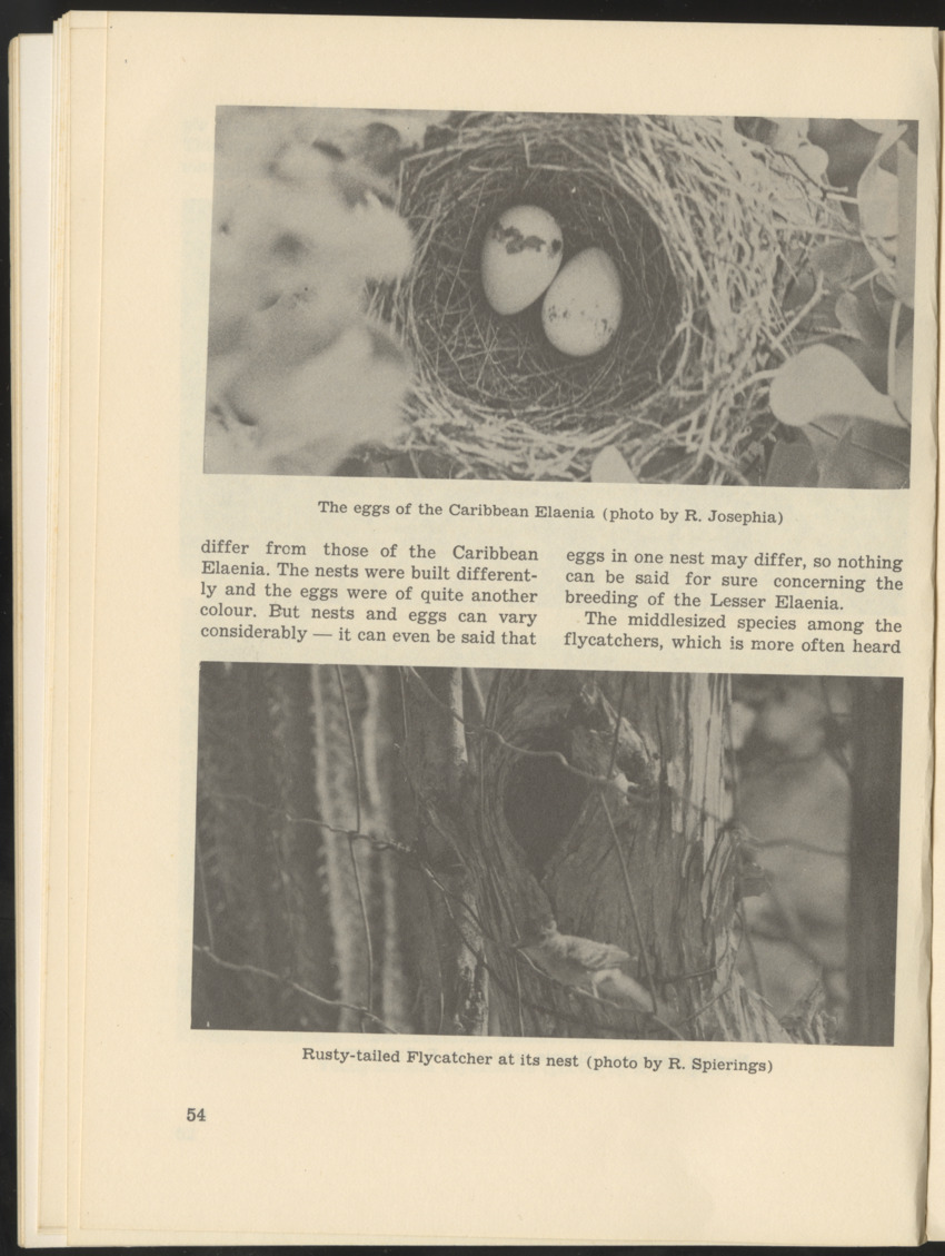 Uitgaven Stinapa - No. 9 - Field Guide National Park Washington - New Page