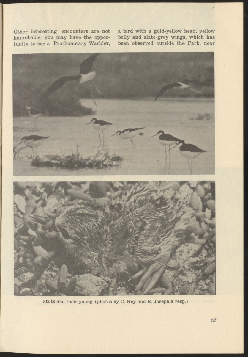 Uitgaven Stinapa - No. 9 - Field Guide National Park Washington - New Page