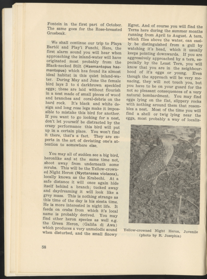 Uitgaven Stinapa - No. 9 - Field Guide National Park Washington - New Page
