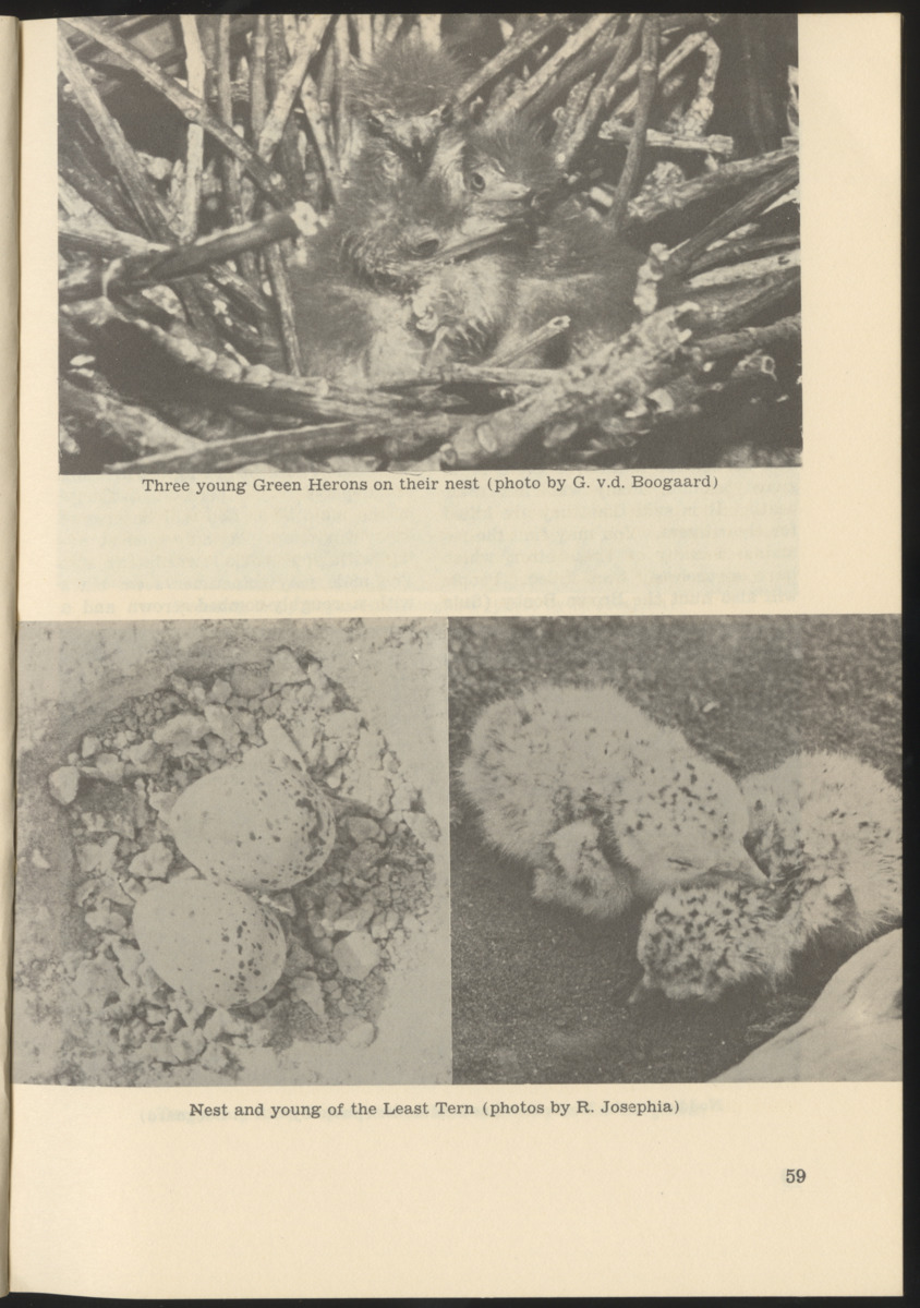 Uitgaven Stinapa - No. 9 - Field Guide National Park Washington - New Page