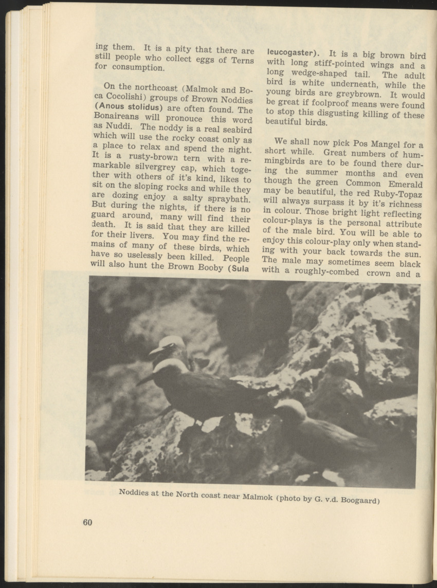 Uitgaven Stinapa - No. 9 - Field Guide National Park Washington - New Page