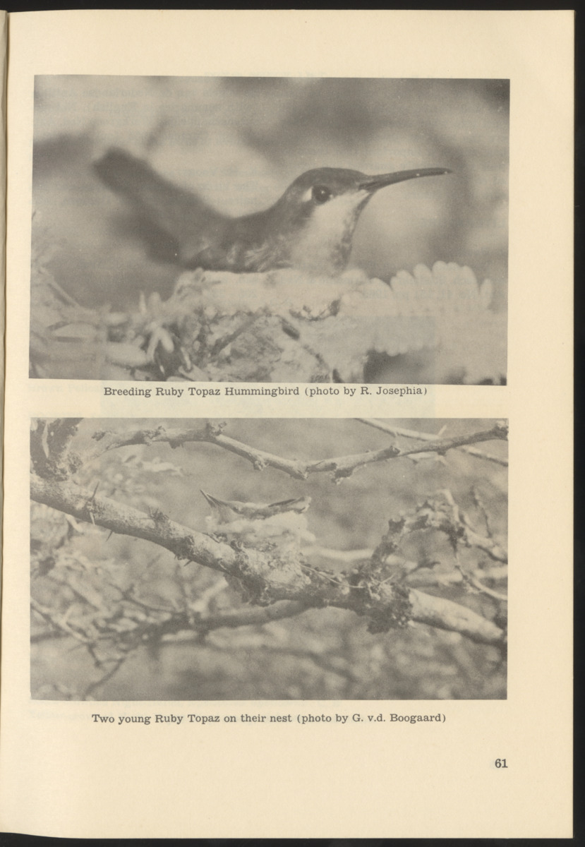 Uitgaven Stinapa - No. 9 - Field Guide National Park Washington - New Page