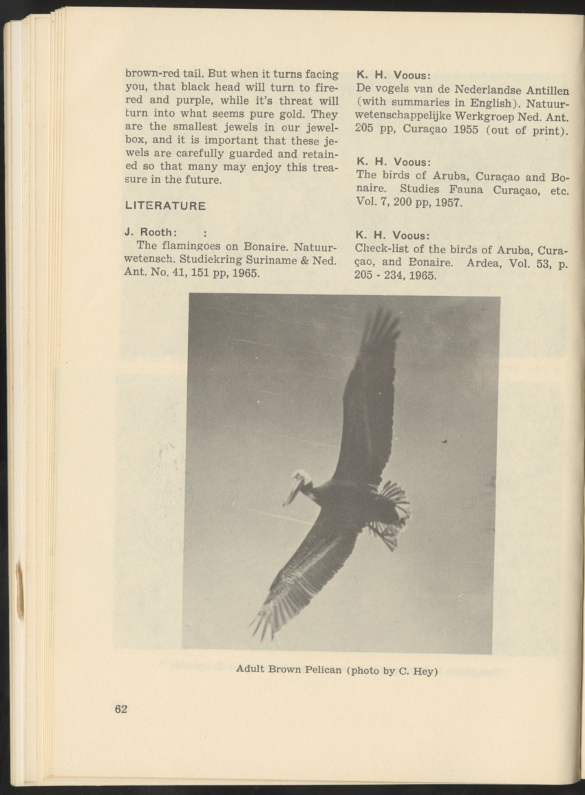 Uitgaven Stinapa - No. 9 - Field Guide National Park Washington - New Page
