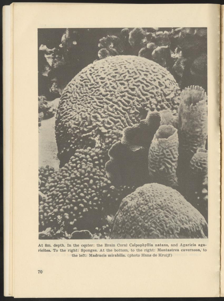 Uitgaven Stinapa - No. 9 - Field Guide National Park Washington - New Page