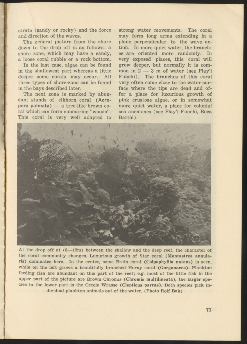 Uitgaven Stinapa - No. 9 - Field Guide National Park Washington - New Page