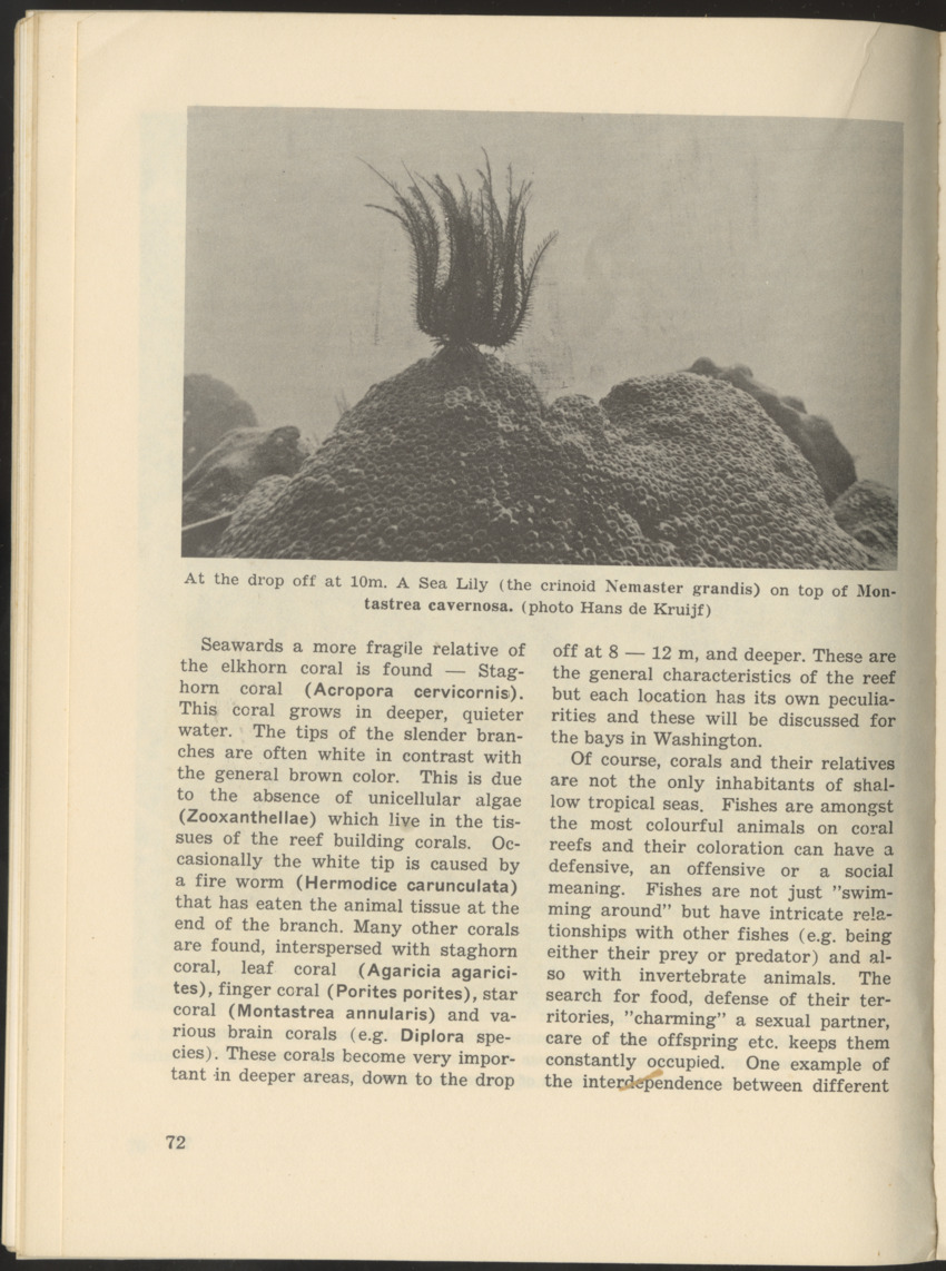 Uitgaven Stinapa - No. 9 - Field Guide National Park Washington - New Page