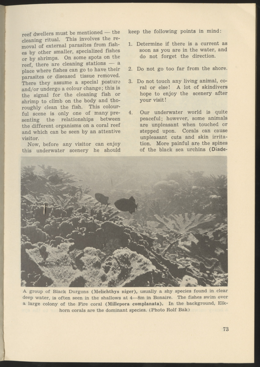 Uitgaven Stinapa - No. 9 - Field Guide National Park Washington - New Page