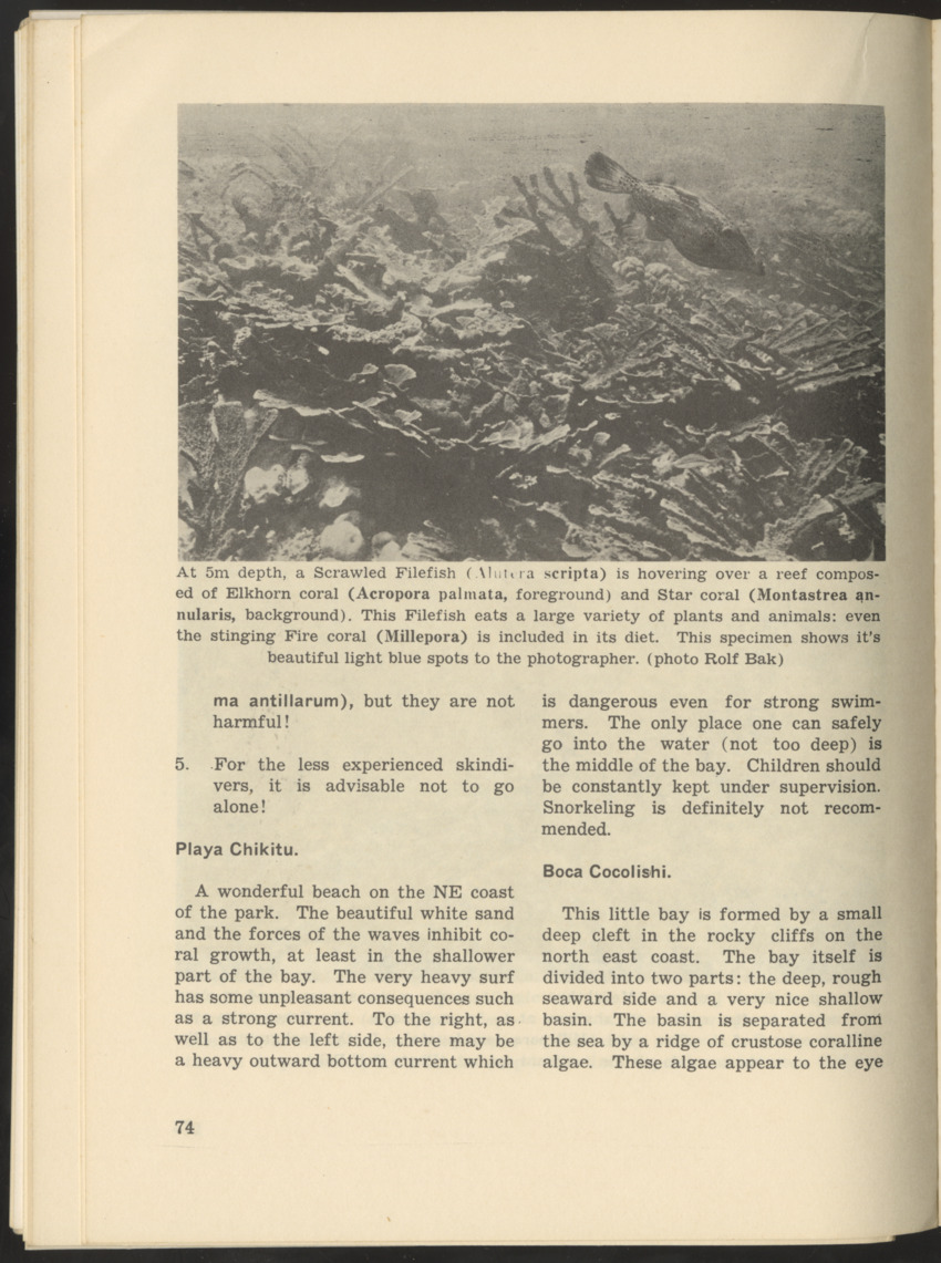 Uitgaven Stinapa - No. 9 - Field Guide National Park Washington - New Page