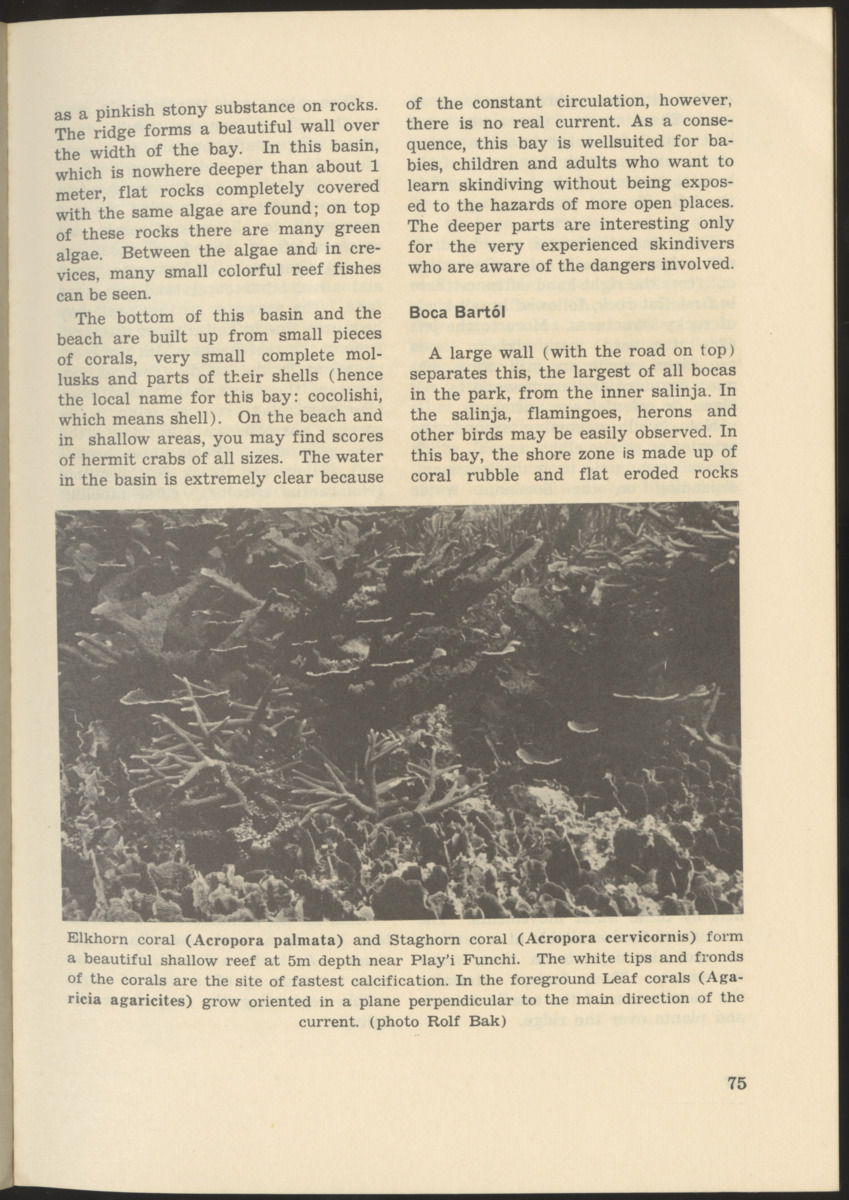 Uitgaven Stinapa - No. 9 - Field Guide National Park Washington - New Page