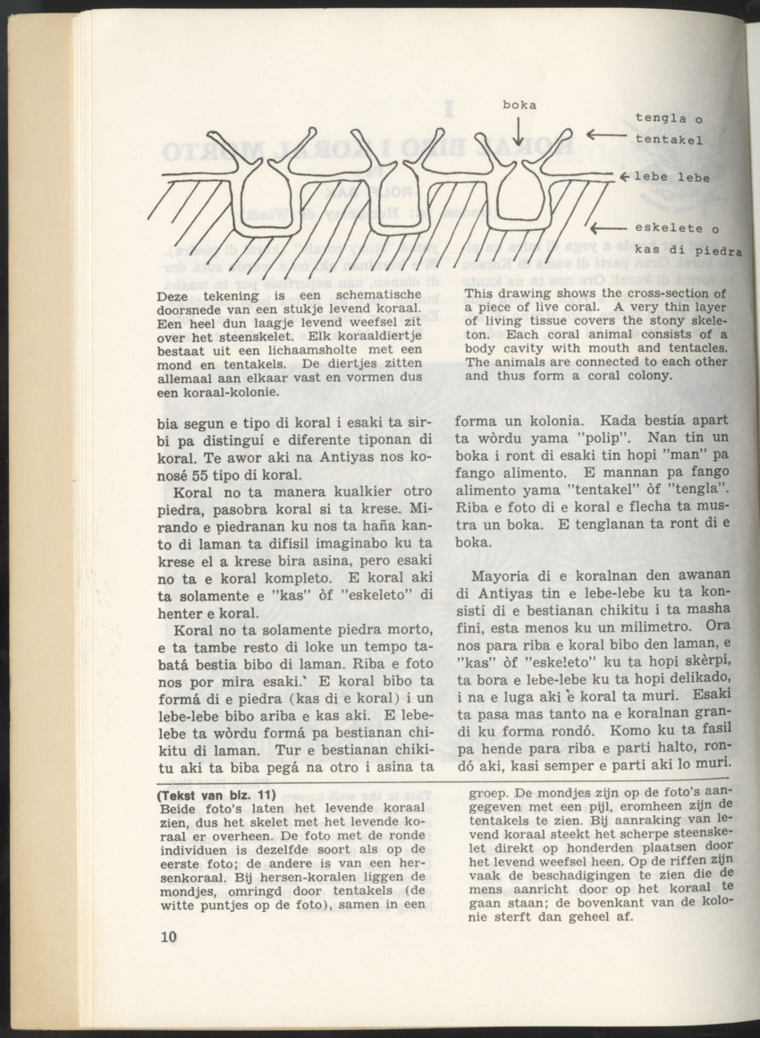 Uitgaven Stinapa - No. 10 - Bida den Laman I - New Page