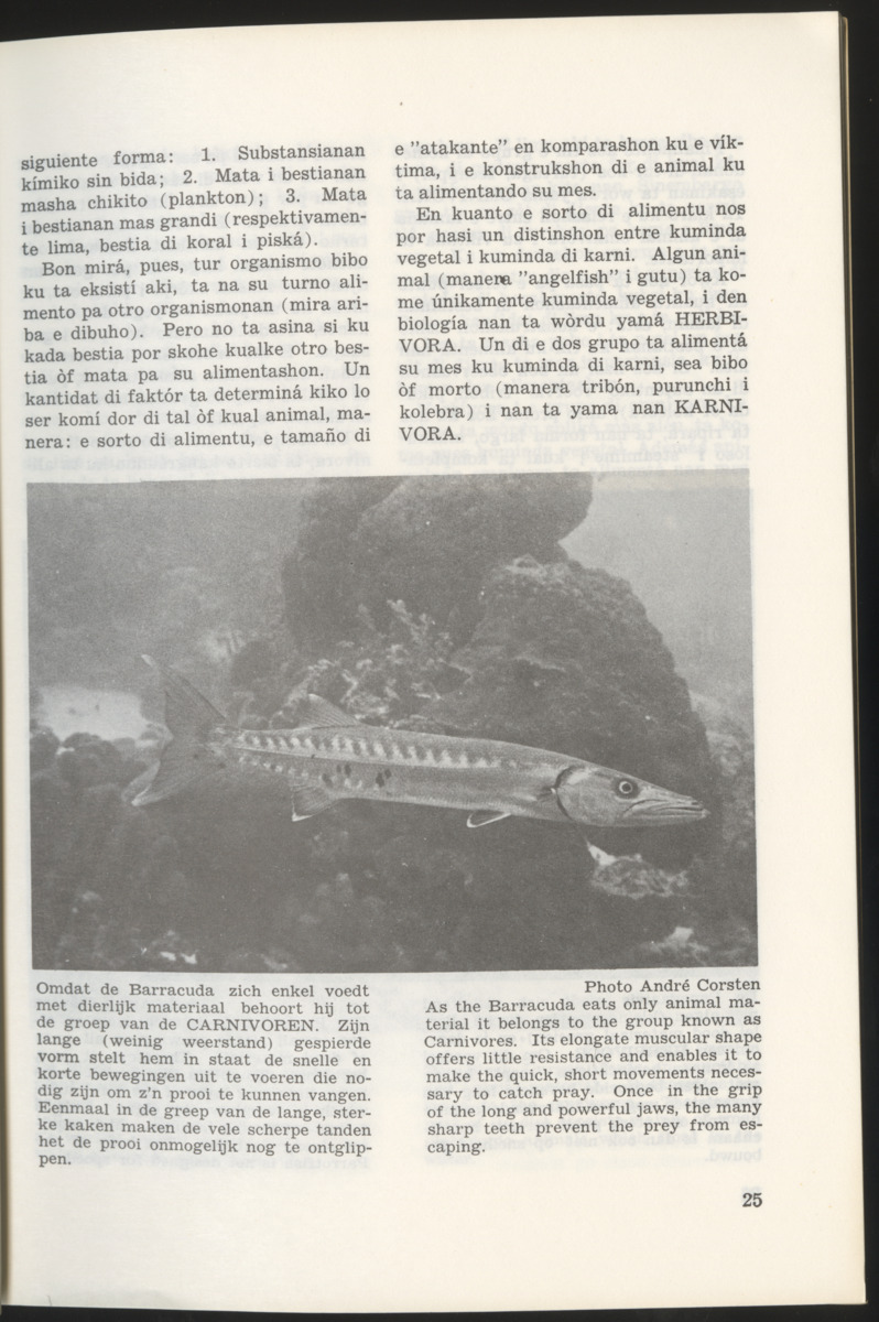 Uitgaven Stinapa - No. 10 - Bida den Laman I - New Page