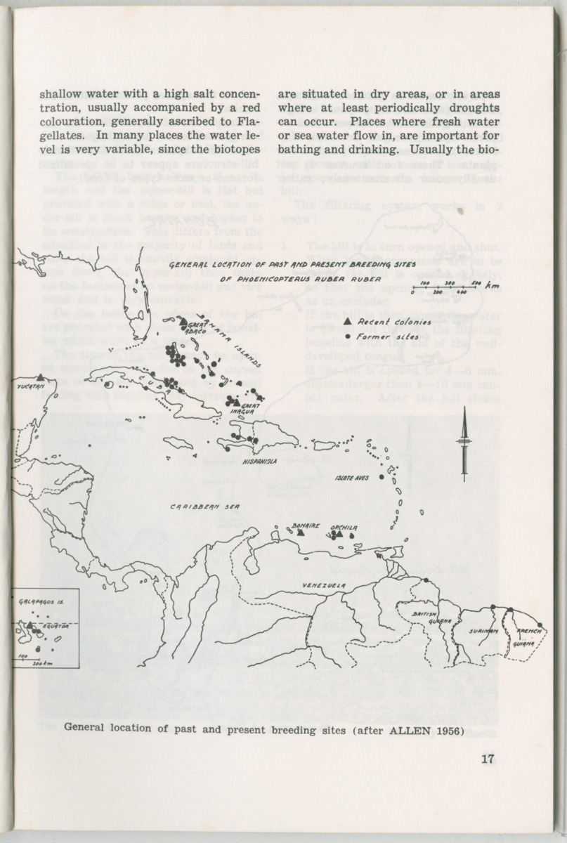 Uitgaven Stinapa - No. 11 - Ecology Conference on Flamingoes, Oil Pollution and Reefs, Bonaire 25-28 September 1975 - New Page