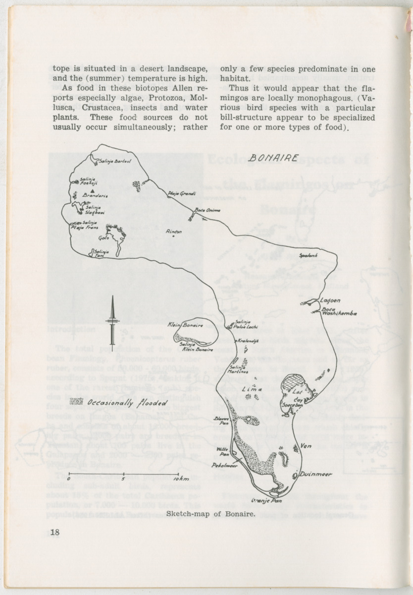 Uitgaven Stinapa - No. 11 - Ecology Conference on Flamingoes, Oil Pollution and Reefs, Bonaire 25-28 September 1975 - New Page