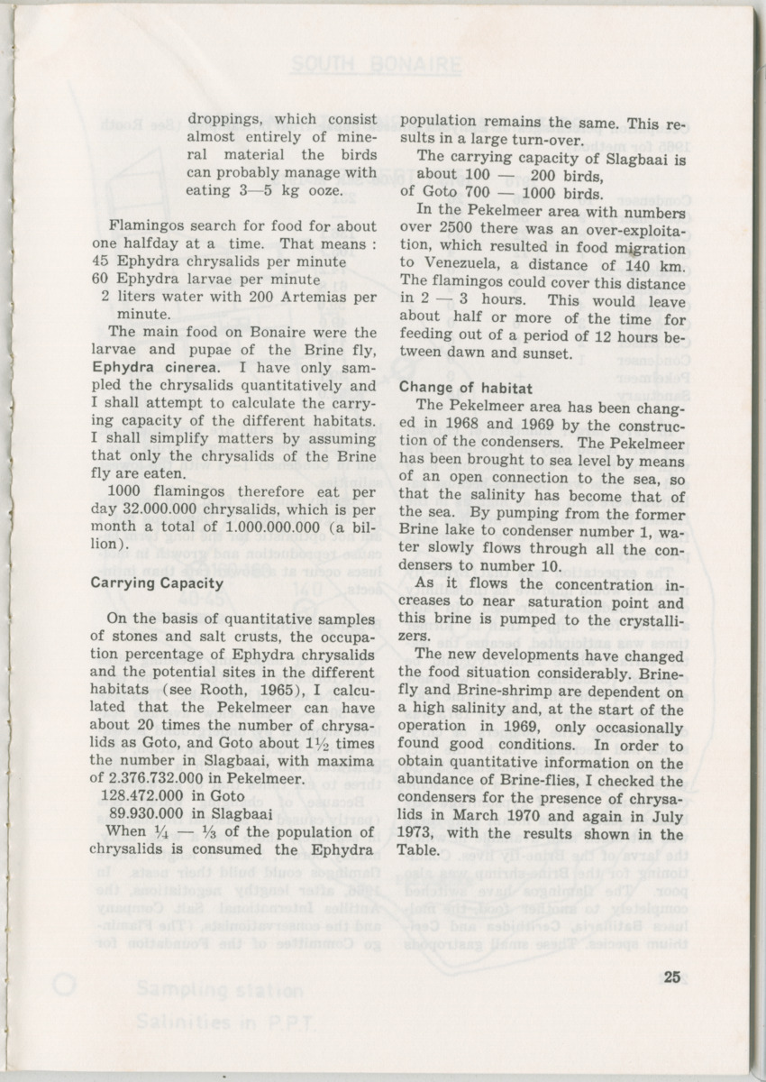 Uitgaven Stinapa - No. 11 - Ecology Conference on Flamingoes, Oil Pollution and Reefs, Bonaire 25-28 September 1975 - New Page