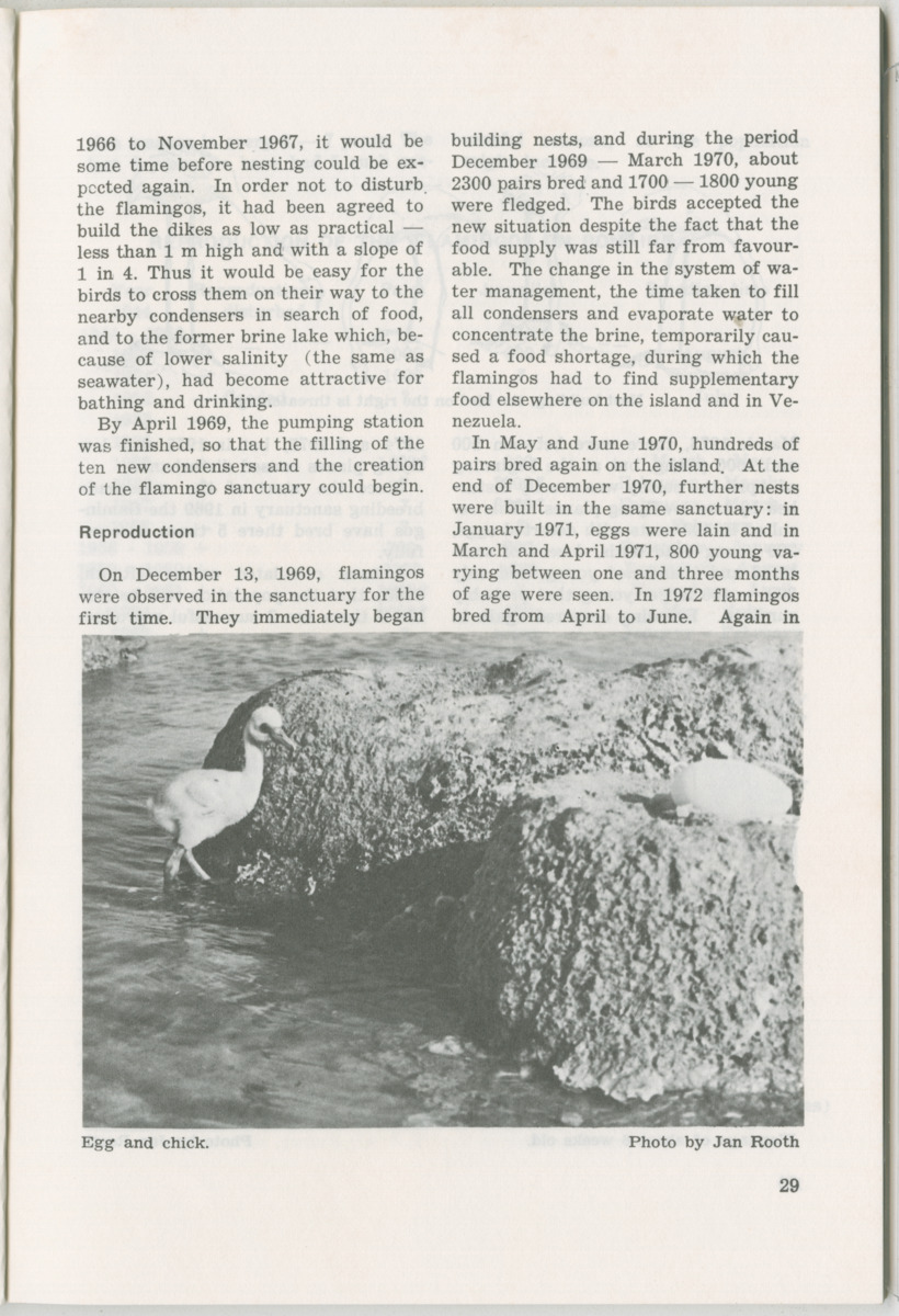 Uitgaven Stinapa - No. 11 - Ecology Conference on Flamingoes, Oil Pollution and Reefs, Bonaire 25-28 September 1975 - New Page