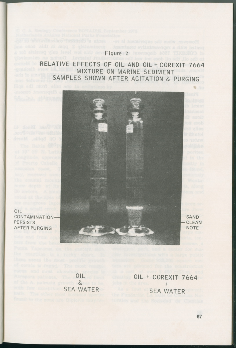 Uitgaven Stinapa - No. 11 - Ecology Conference on Flamingoes, Oil Pollution and Reefs, Bonaire 25-28 September 1975 - New Page