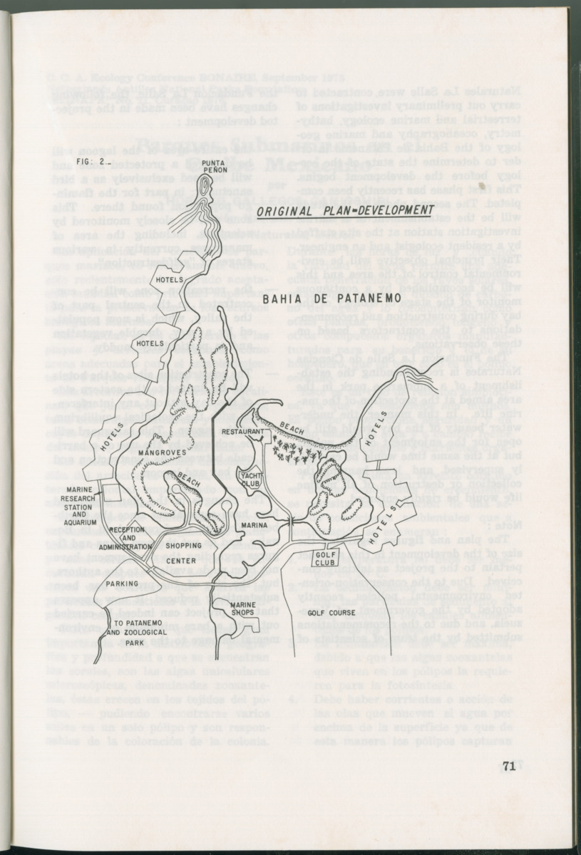 Uitgaven Stinapa - No. 11 - Ecology Conference on Flamingoes, Oil Pollution and Reefs, Bonaire 25-28 September 1975 - New Page