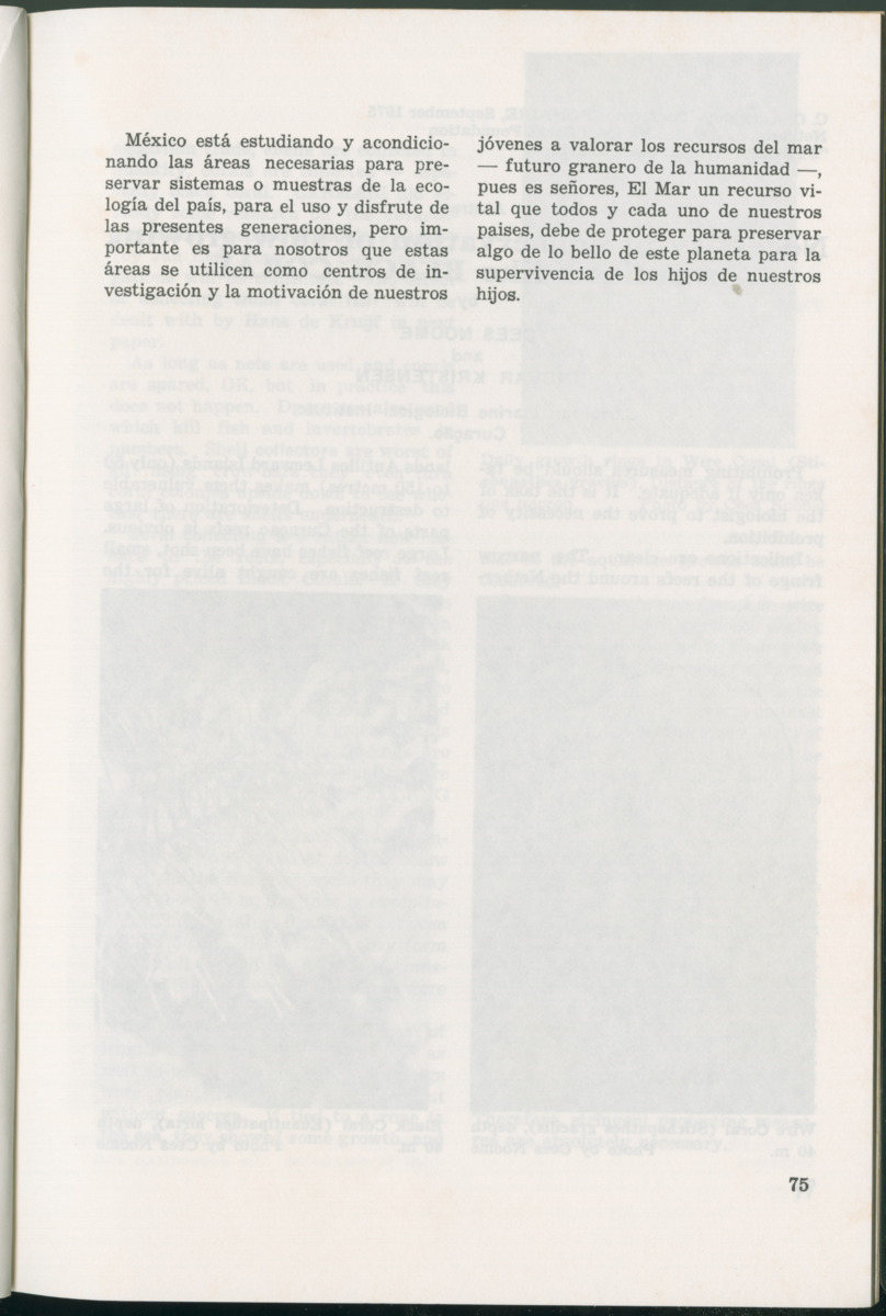 Uitgaven Stinapa - No. 11 - Ecology Conference on Flamingoes, Oil Pollution and Reefs, Bonaire 25-28 September 1975 - New Page