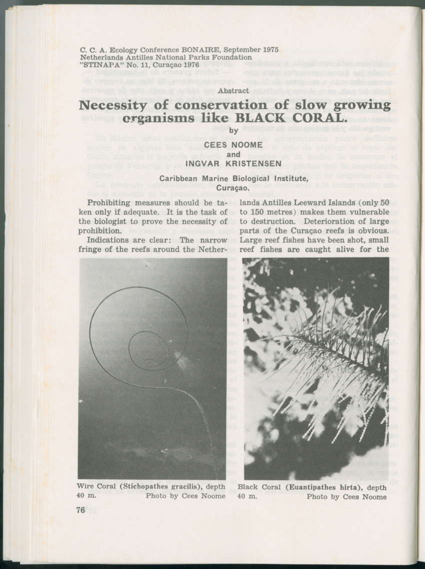 Uitgaven Stinapa - No. 11 - Ecology Conference on Flamingoes, Oil Pollution and Reefs, Bonaire 25-28 September 1975 - New Page
