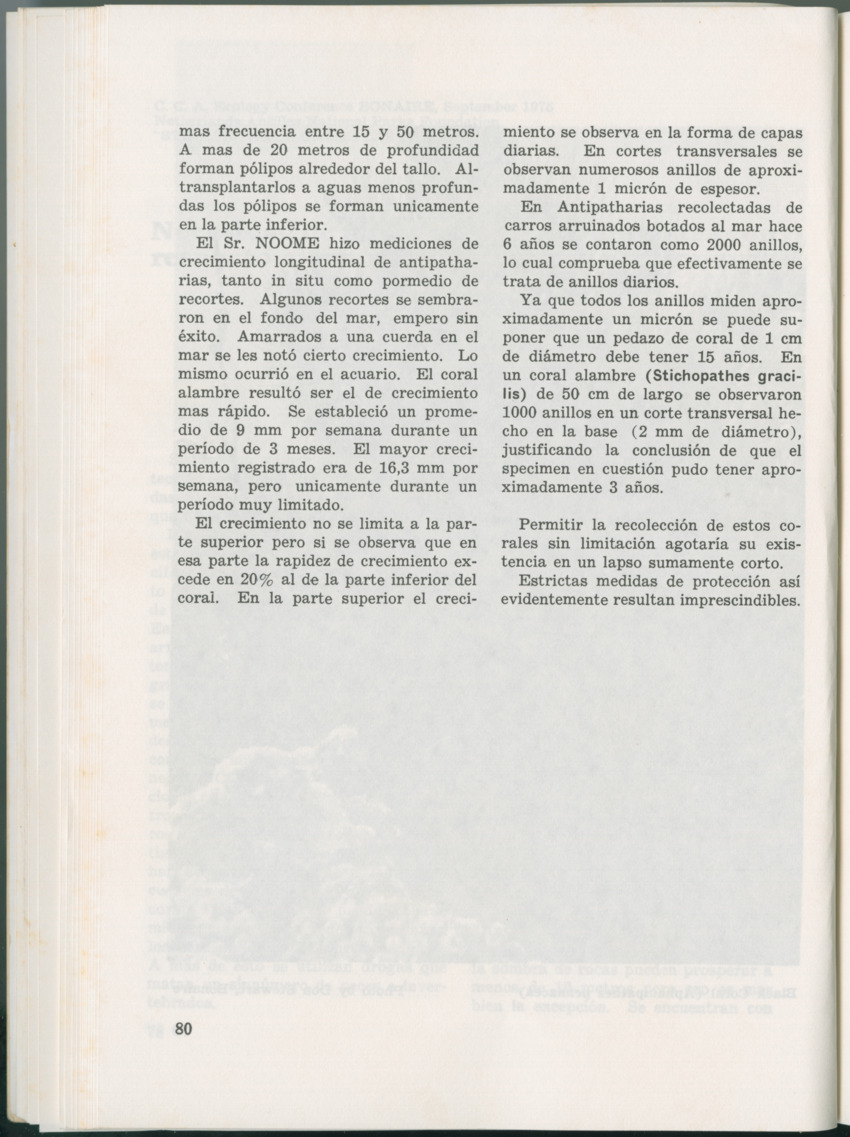 Uitgaven Stinapa - No. 11 - Ecology Conference on Flamingoes, Oil Pollution and Reefs, Bonaire 25-28 September 1975 - New Page
