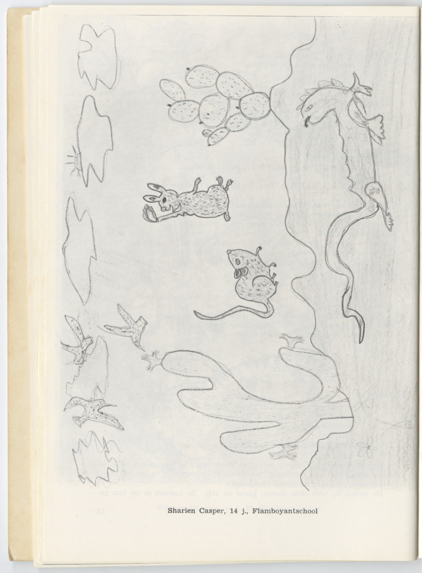 Uitgaven Stinapa - No. 12 - Kinderen over Dieren - New Page