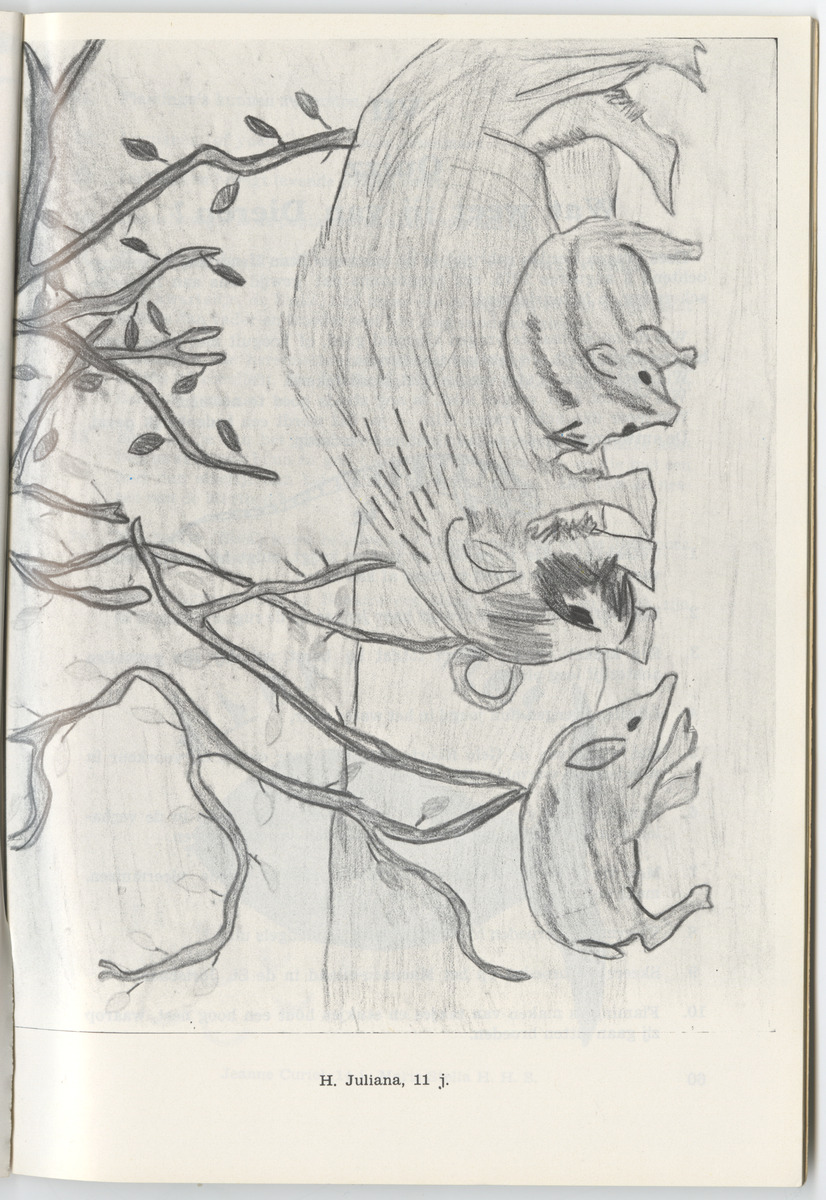 Uitgaven Stinapa - No. 12 - Kinderen over Dieren - New Page