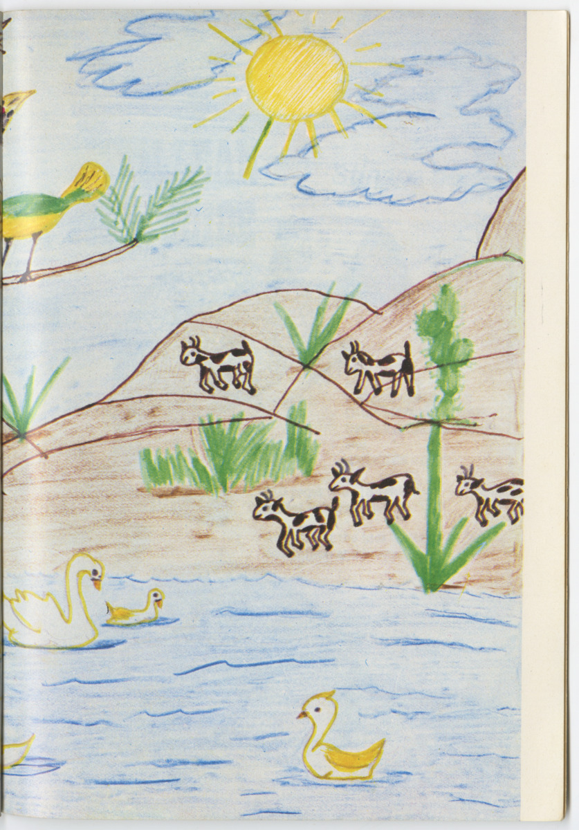 Uitgaven Stinapa - No. 12 - Kinderen over Dieren - New Page