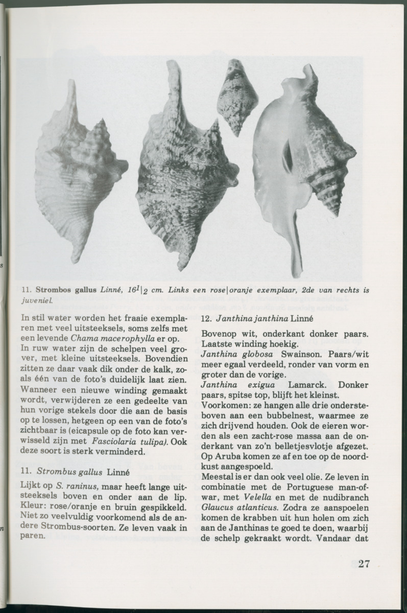 Uitgaven Stinapa - No. 14 - Aruba, zijn voorgeschiedenis zijn dieren - New Page