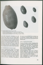 MISSING THUMBNAIL