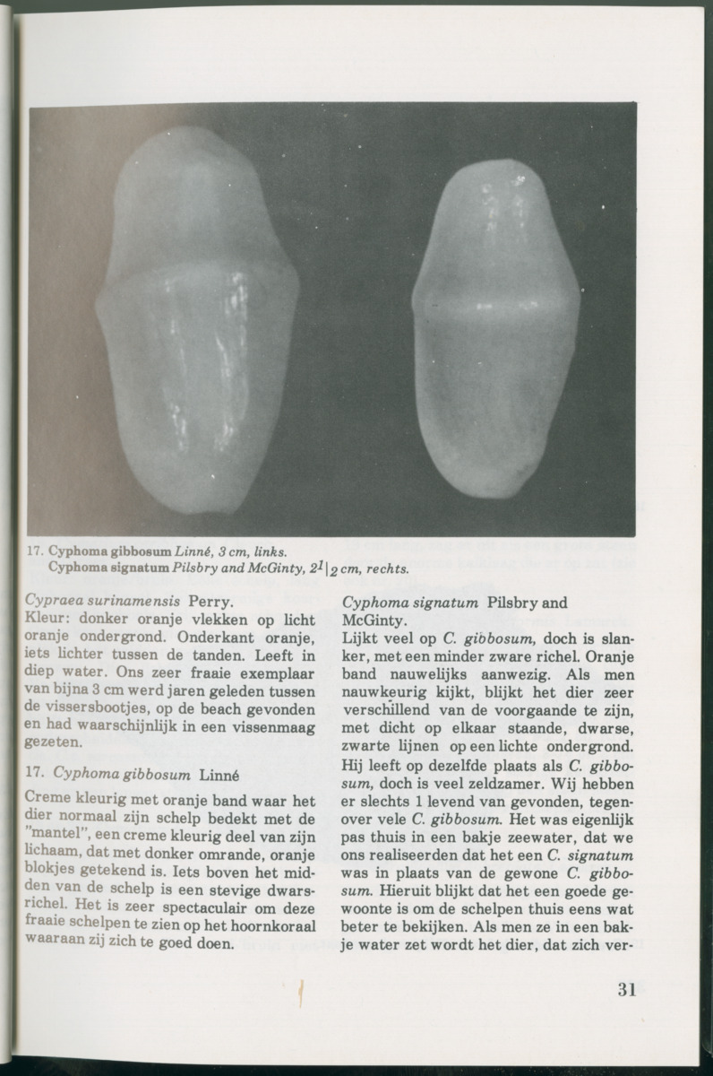 Uitgaven Stinapa - No. 14 - Aruba, zijn voorgeschiedenis zijn dieren - New Page