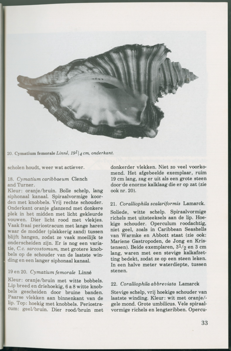 Uitgaven Stinapa - No. 14 - Aruba, zijn voorgeschiedenis zijn dieren - New Page