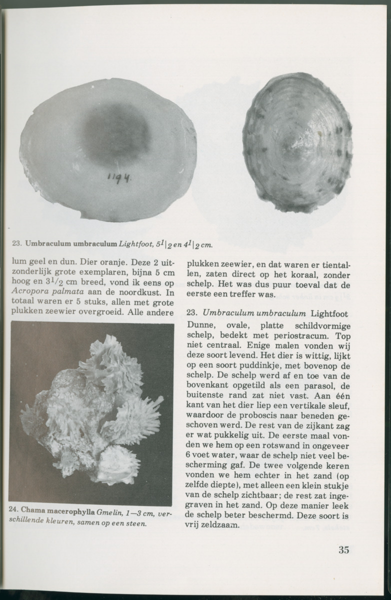 Uitgaven Stinapa - No. 14 - Aruba, zijn voorgeschiedenis zijn dieren - New Page