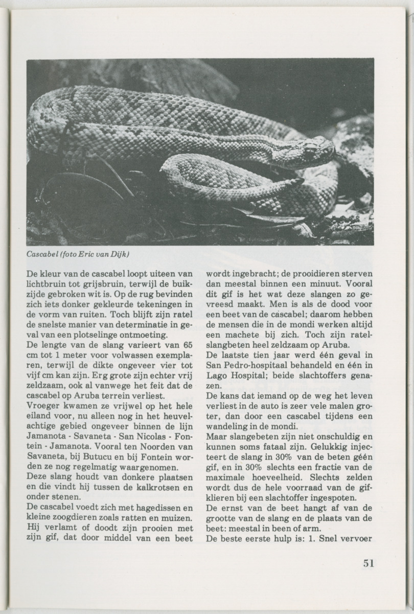 Uitgaven Stinapa - No. 14 - Aruba, zijn voorgeschiedenis zijn dieren - New Page