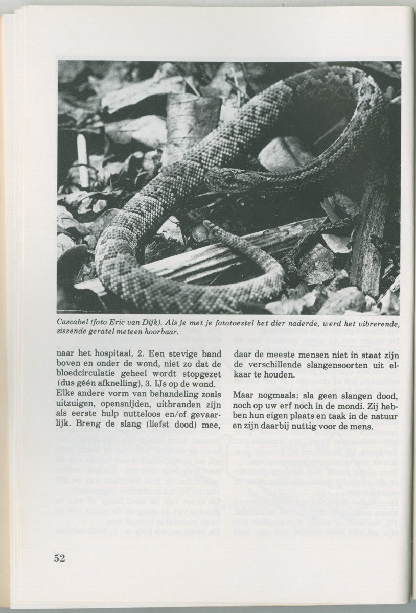 Uitgaven Stinapa - No. 14 - Aruba, zijn voorgeschiedenis zijn dieren - New Page