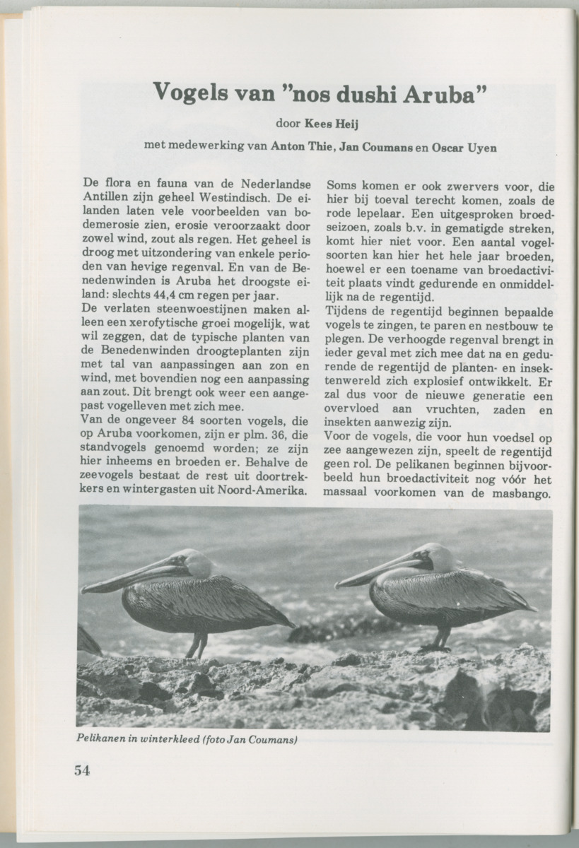 Uitgaven Stinapa - No. 14 - Aruba, zijn voorgeschiedenis zijn dieren - New Page