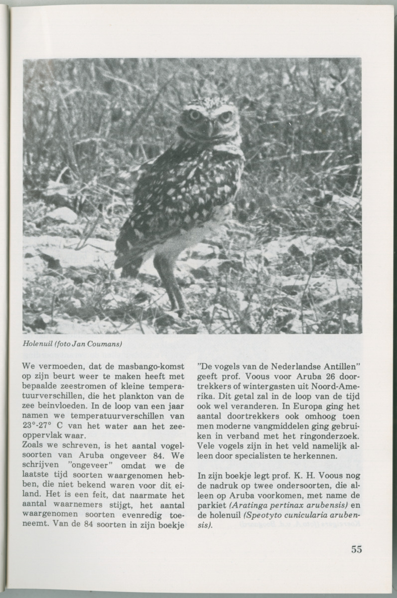 Uitgaven Stinapa - No. 14 - Aruba, zijn voorgeschiedenis zijn dieren - New Page