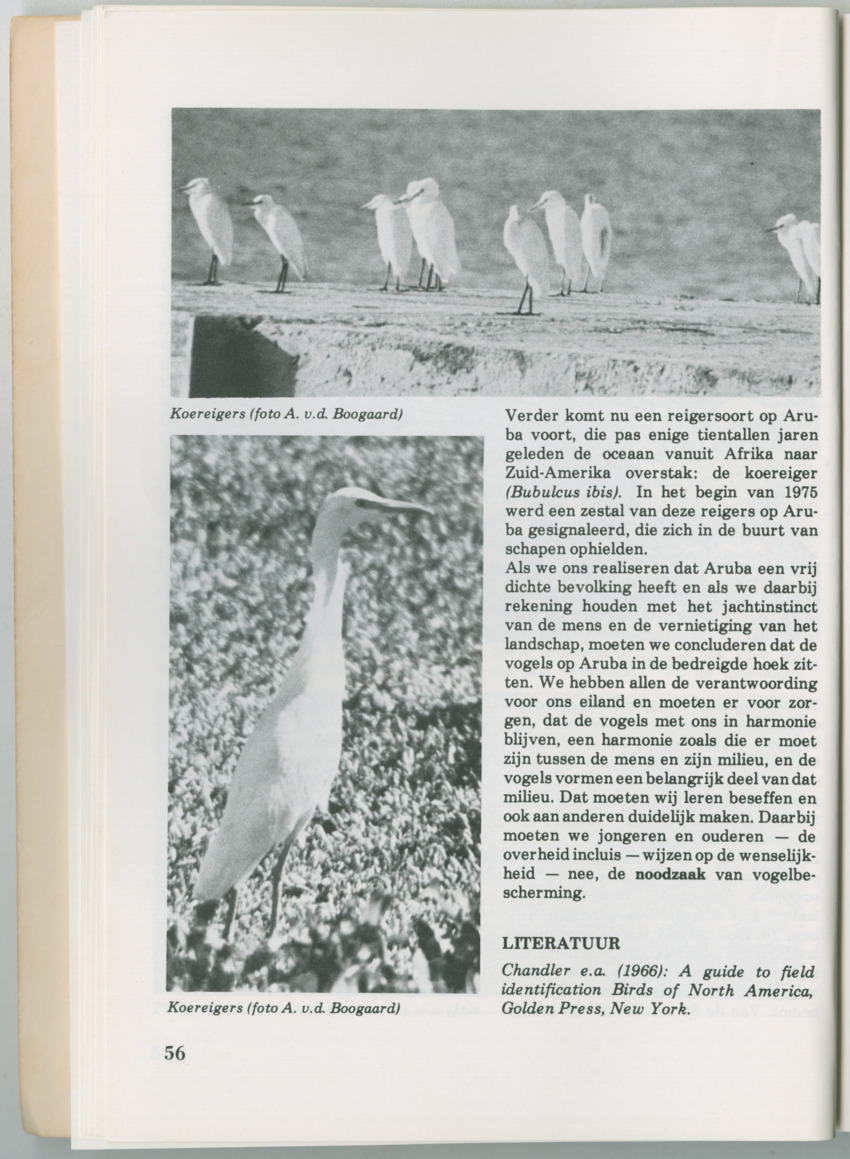 Uitgaven Stinapa - No. 14 - Aruba, zijn voorgeschiedenis zijn dieren - New Page